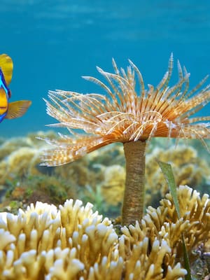 Un Nuevo PIB | Columna de Simón Gaviria