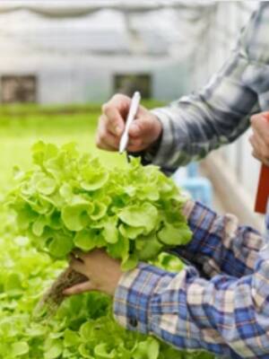 Nuevo modelo productivo| columna de Indalecio Dangond