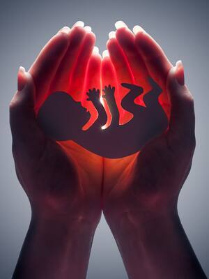 Dijimos no al aborto | Columna de Remberto Burgos