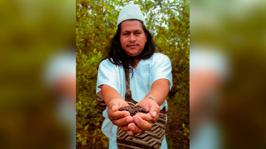 Café con aroma ancestral viaja desde la Sierra Nevada a Estados Unidos