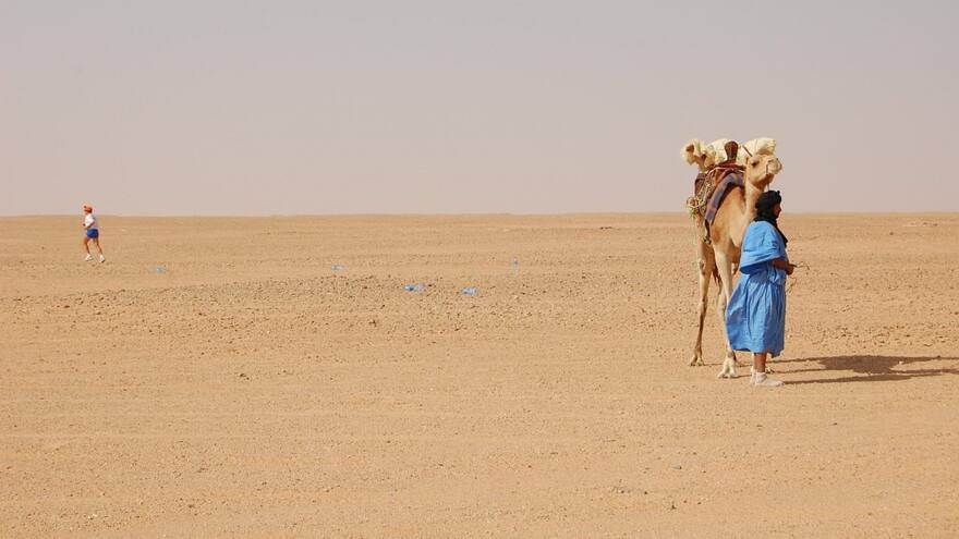 Descubren que el desierto del Sahara se vuelve un bosque verde cada 21.000 años