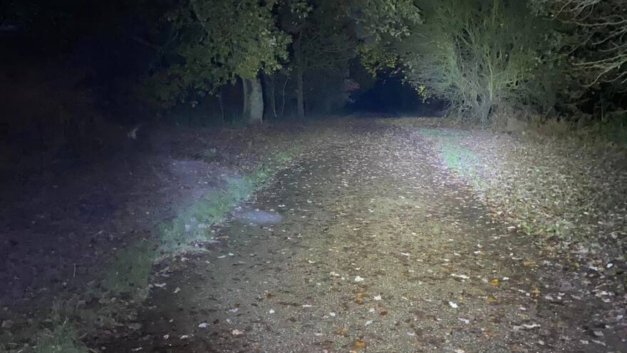 Video: Pareja asegura que vio a un fantasma en medio de un bosque mientras paseaban a su perro