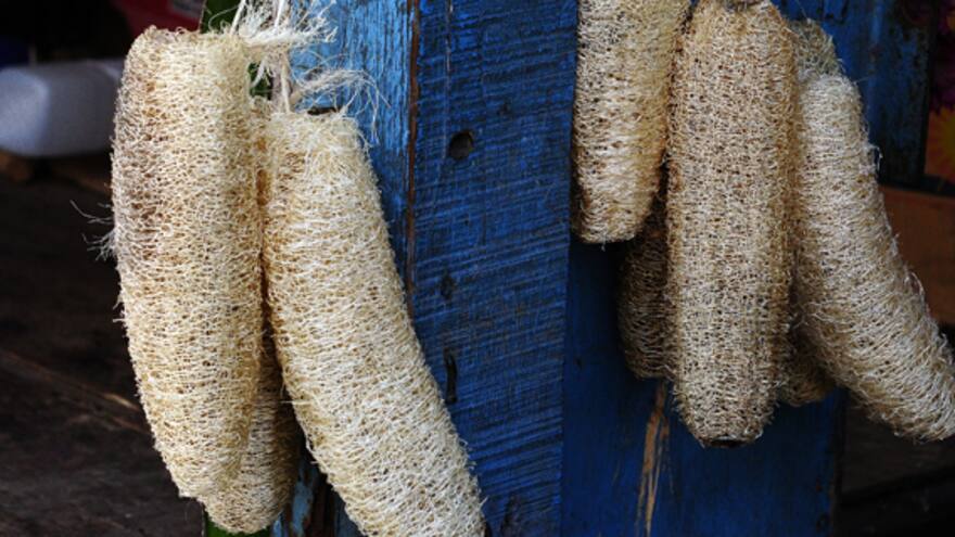 ¿Qué tan bueno es bañarse con estropajo?