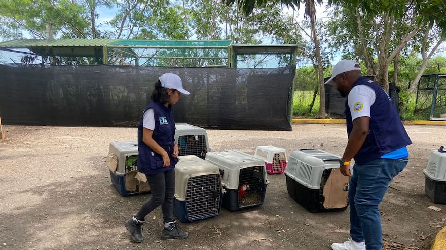 En Cartagena reciben animales silvestres decomisados en Cundinamarca