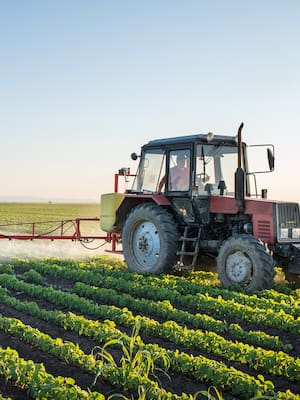 Más que Tierra | Columna de Miguel Vergara