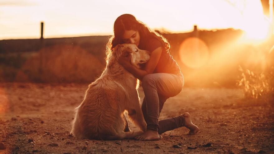 Universidades deben permitir perros de apoyo emocional a estudiantes: Corte