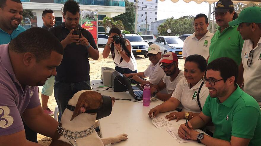 Este sábado, nueva jornada de registro de caninos potencialmente peligrosos