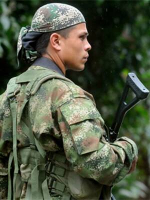 Fracaso en seguridad