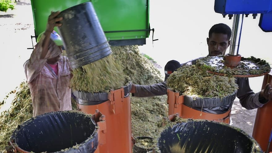 Entrega de silo se completará antes de finalizar abril: Gobernación