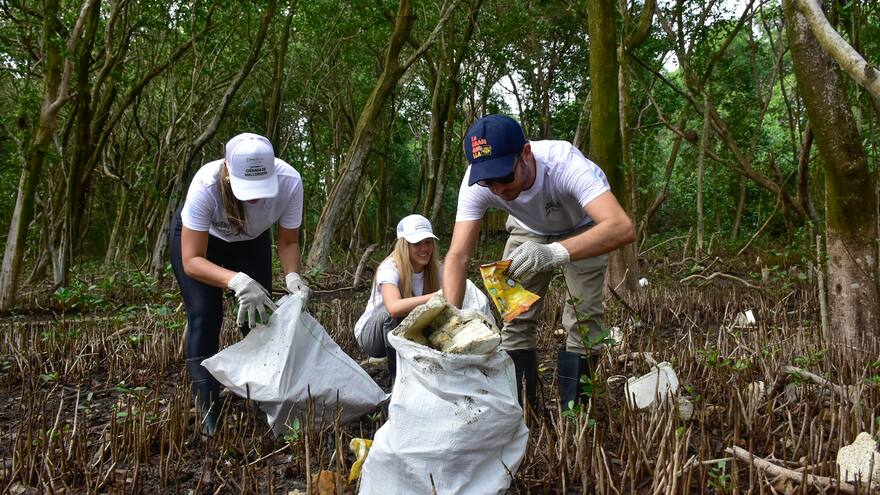 La industria del reciclaje de plástico: un negocio atractivo y rentable | Columna de Juliana Rincón Jaramillo