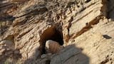 Abren puerta de una cueva que había permanecido cerrada durante 40.000 años