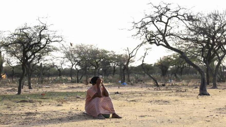 ONU celebra reducción de inseguridad alimentaria y alerta sobre inequidad