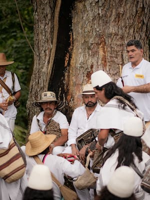 Una paz total que tampoco llegó a la Sierra