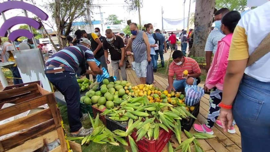Mercado Campesino en Lorica logró ventas superiores a $38 millones de pesos