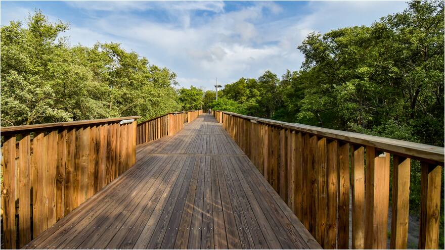 El cuidado del medio ambiente, una “tarea permanente” en Barranquilla