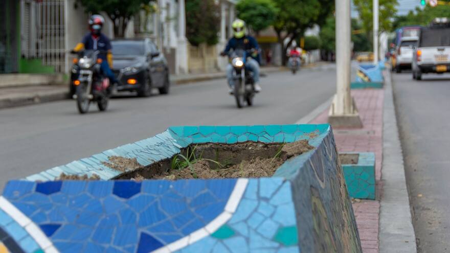 Se roban plantas ornamentales en separadores viales de Santa Marta