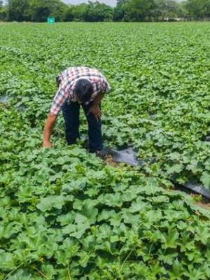 Privados de competitividad