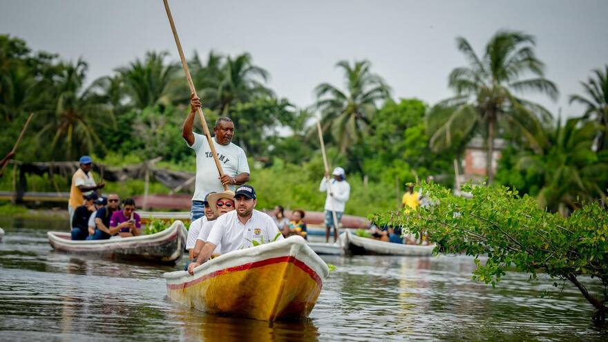 En el corregimiento La Boquilla fueron sembrados 400 mangles rojos