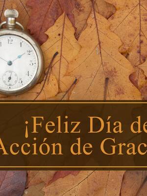 Gracias  por la vida