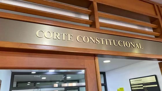 Corte Constitucional reconoció la inasistencia alimentaria como violencia económica
