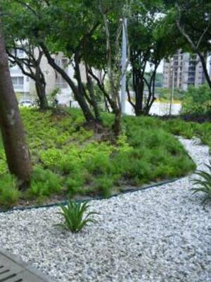 Kiosco literario | Columna de Haroldo Martínez