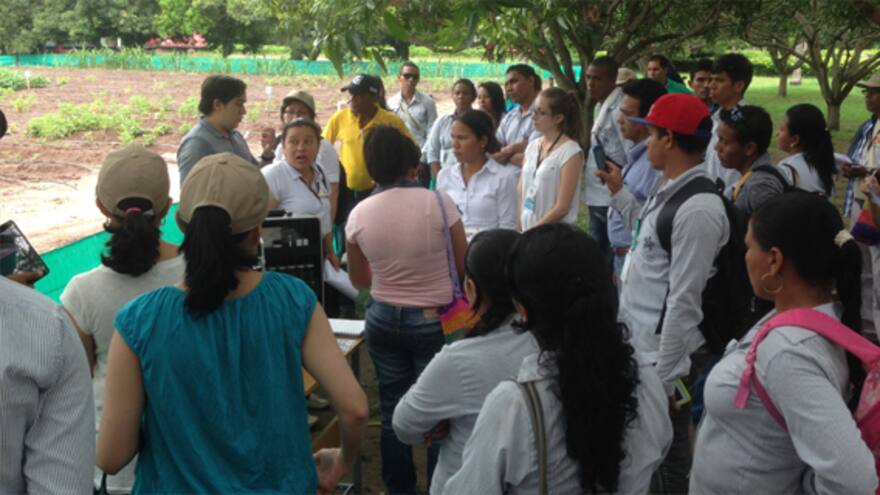 Biofortificación de cultivos: para combatir la desnutrición