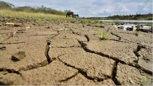 Procuraduría activa alertas por fenómeno de El Niño