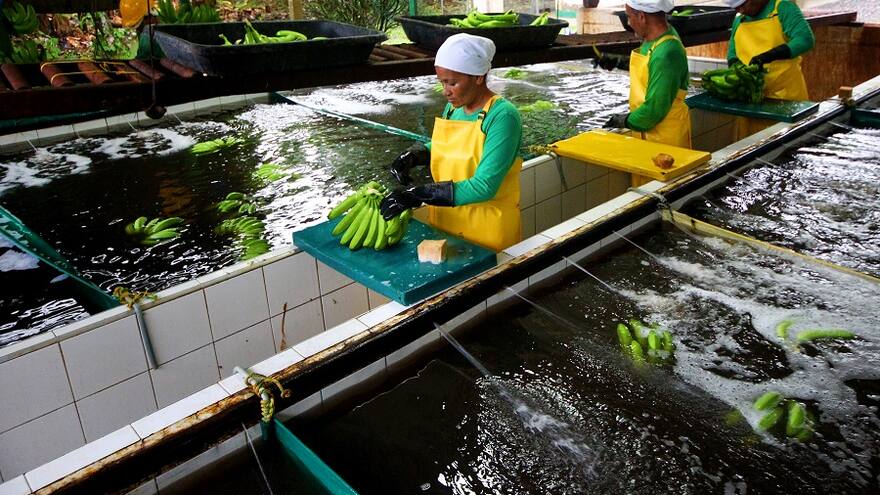 La ANDI señala que no habrá desabastecimiento de plaguicidas y fertlizantes en el país