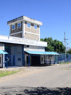 Tramacúa, testículo, tornavirón