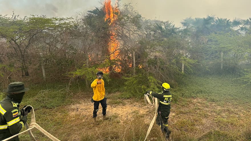 Otro incendio amenaza la Isla Salamanca este domingo