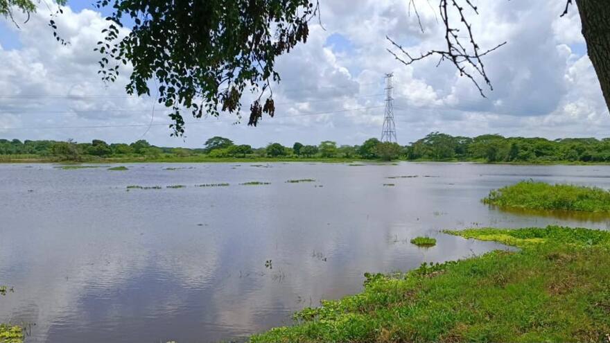 En Pivijay realizaron mantenimiento al caño Shiller para recuperación hídrica