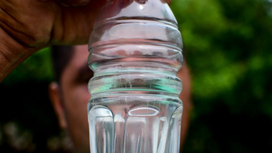 Alarma en Caño Dulce por especie de larva marina