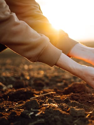 Salud del Suelo en Colombia | Columna de Claudio Muñoz Rojas