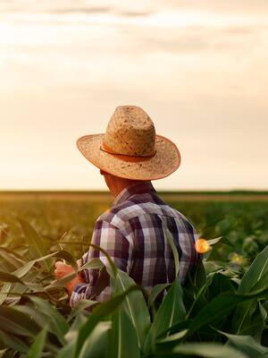 Oportunidades desperdiciadas | Columna de Indalecio Dangond B.