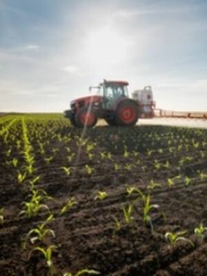 La cenicienta | Columna de Indalecio Dangond Baquero