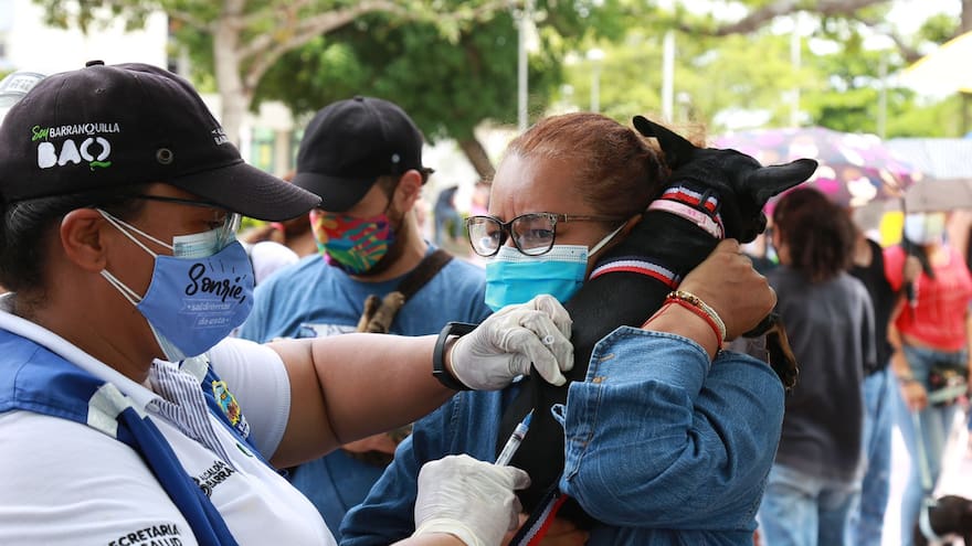 Día mundial contra la rabia: alcaldía de Barranquilla crea campañas de vacunación y educación contra la enfermedad viral