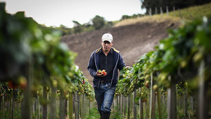 Anif mejoró perspectiva de crecimiento del país; lo hará un 1,7 % en 2024