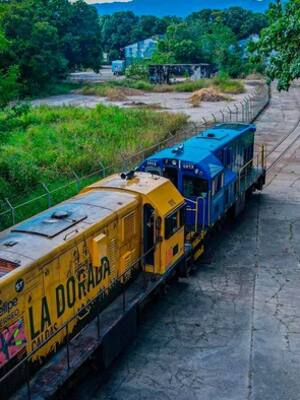 La reactivación del ferrocarril como apuesta por el desarrollo regional