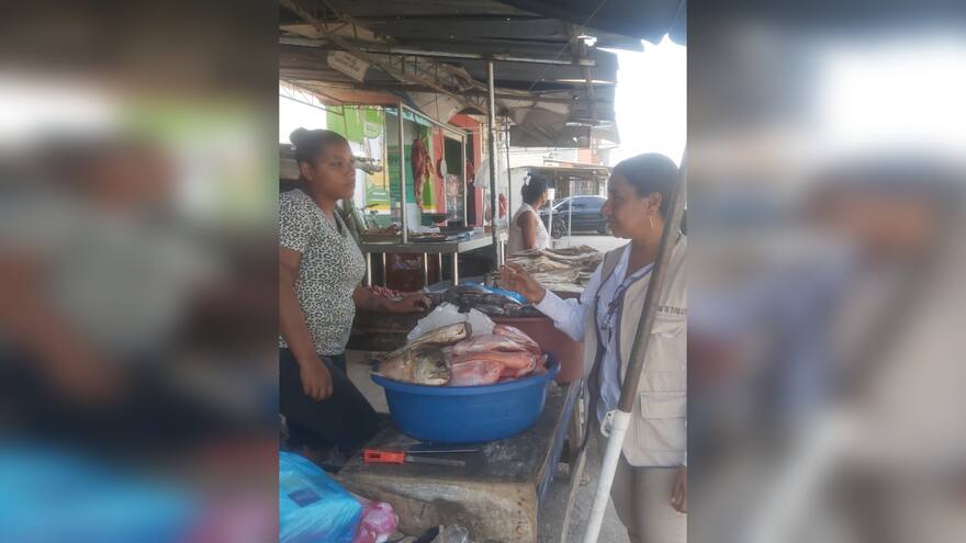 Supervisan el pescado en comercialización en Turbaco, Bolívar