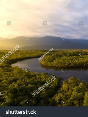Defender el Amazonas| Columna de Simón Gaviria