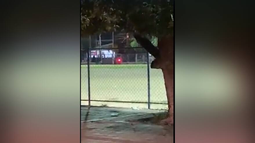 Lanzan granada a estación de Policía en Planeta Rica, Córdoba