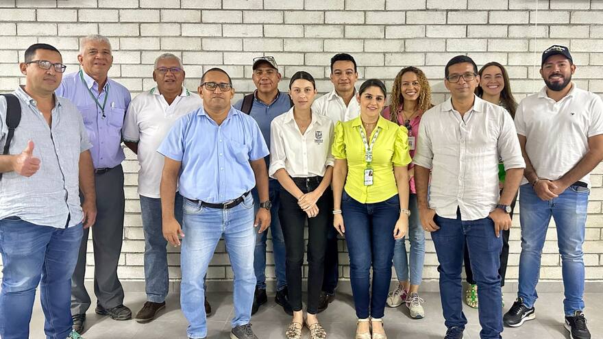 Córdoba: promueven el ñame para abordar desafíos de seguridad alimentaria