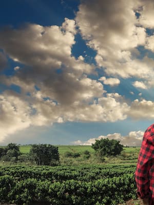 El agro que soñamos | Columna de Indalecio Dangond