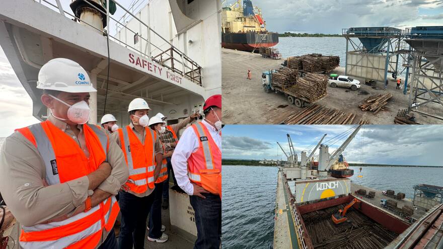 Córdoba logró la primera exportación de madera hacia Europa