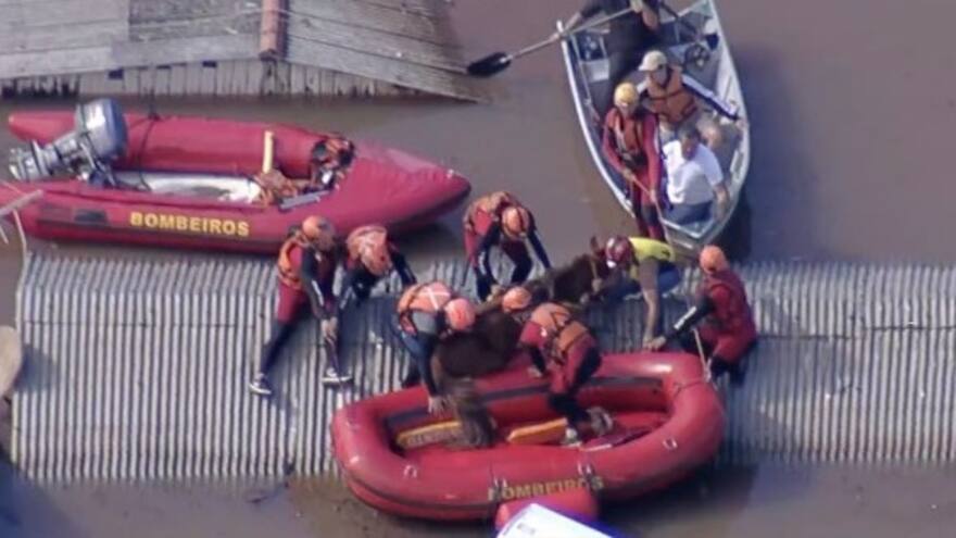 Videos del rescate de un caballo que estaba atrapado sobre un techo por las inundaciones en Brasil
