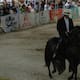 Equinos: atracción en Feria de Sabanalarga