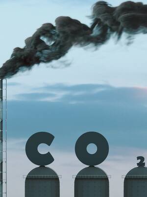 Destruyendo el nido| Columna de José Consuegra Bolívar