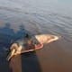Matan a dos delfines rosados y los arrojan en el río Meta