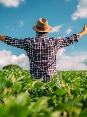 De espaldas al campo | Columna de Amylkar D. Acosta