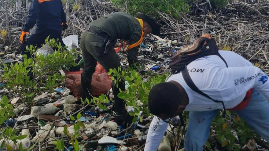Defensa de los Manglares: la Capitanía de Puerto de Providencia se vinculó a la protección de mangles